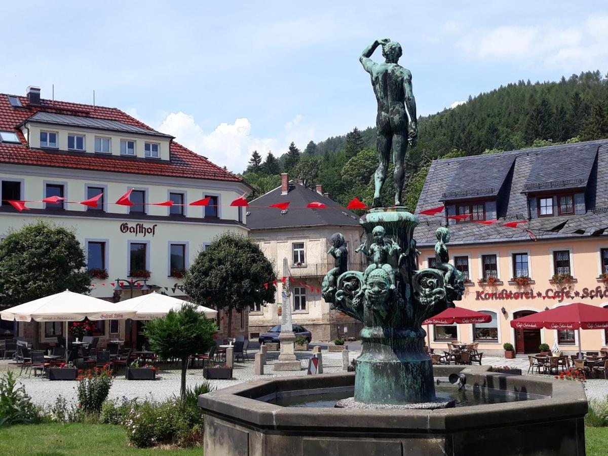 Gasthof Hillig Bad Gottleuba-Berggiesshuebel Экстерьер фото
