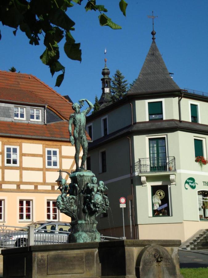 Gasthof Hillig Bad Gottleuba-Berggiesshuebel Экстерьер фото