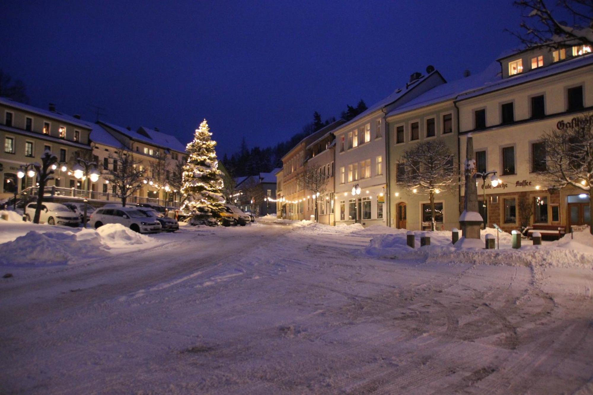 Gasthof Hillig Bad Gottleuba-Berggiesshuebel Экстерьер фото